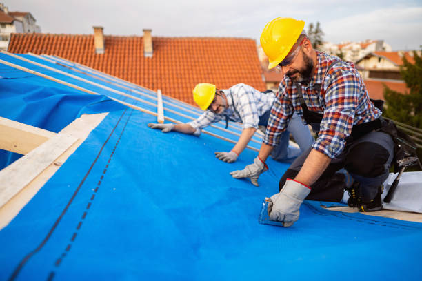 Roof Gutter Cleaning in Asbury Lake, FL